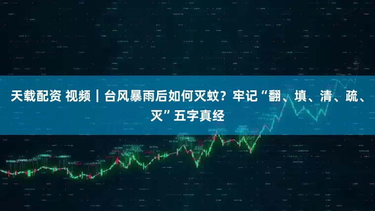 天载配资 视频｜台风暴雨后如何灭蚊？牢记“翻、填、清、疏、灭”五字真经