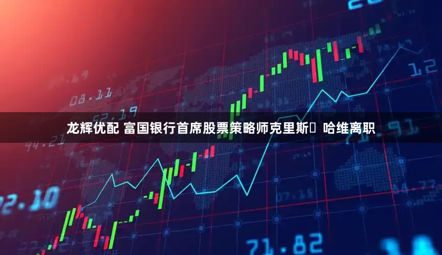 龙辉优配 富国银行首席股票策略师克里斯・哈维离职