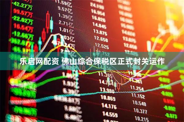 乐启网配资 佛山综合保税区正式封关运作