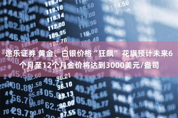 途乐证券 黄金、白银价格“狂飙” 花旗预计未来6个月至12个月金价将达到3000美元/盎司