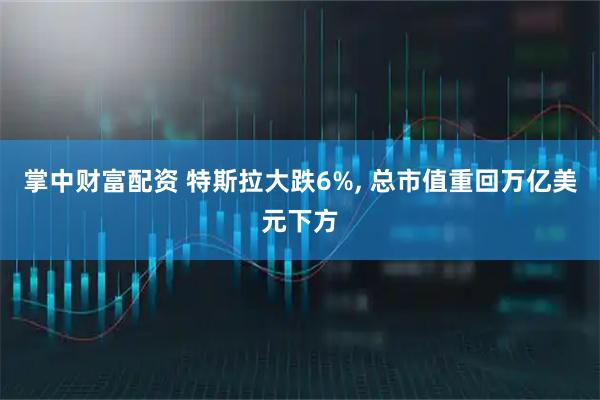 掌中财富配资 特斯拉大跌6%, 总市值重回万亿美元下方