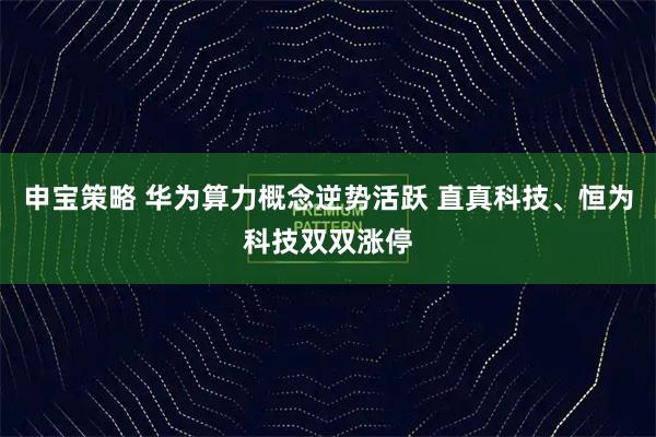 申宝策略 华为算力概念逆势活跃 直真科技、恒为科技双双涨停